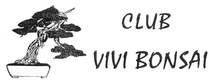 Club Vivi Bonsai
